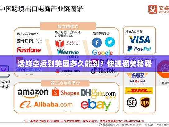 活鲜空运到美国多久能到？快速通关秘籍