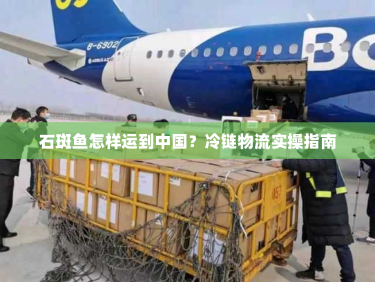 石斑鱼怎样运到中国?冷链物流实操指南 石斑鱼怎样运到中国?冷链物流实操指南