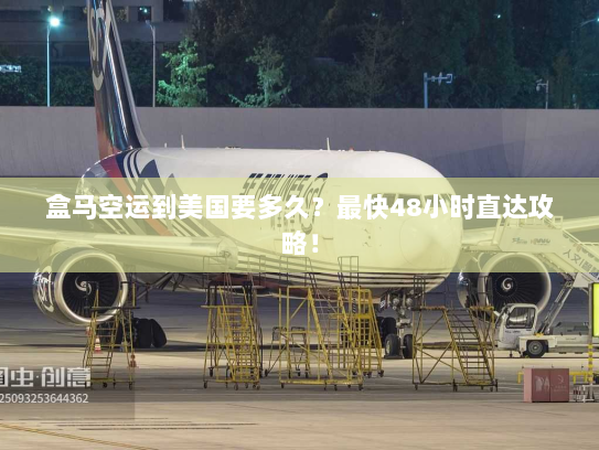 盒马空运到美国要多久？最快48小时直达攻略！