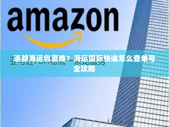 追踪海运包裹难？海运国际快递怎么查单号全攻略