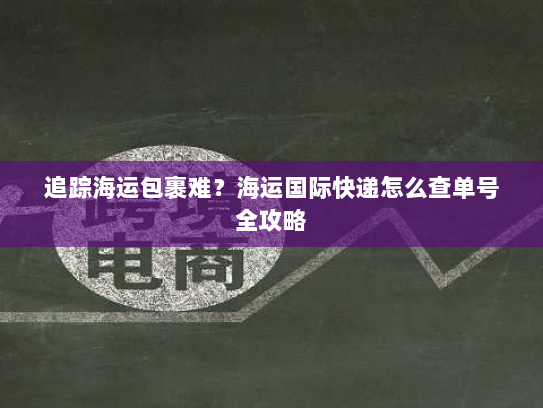 追踪海运包裹难?海运国际快递怎么查单号全攻略 追踪海运包裹难?海运国际快递怎么查单号全攻略