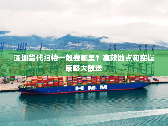 深圳货代扫楼一般去哪里?高效地点和实操策略大放送 深圳货代扫楼一般去哪里?高效地点和实操策略大放送