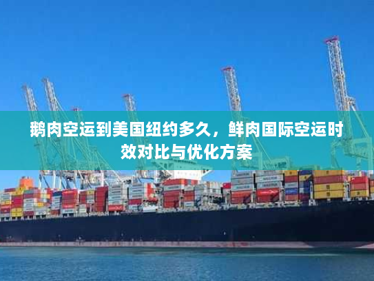 鹅肉空运到美国纽约多久,鲜肉国际空运时效对比与优化方案 鹅肉空运到美国纽约多久,鲜肉国际空运时效对比与优化方案