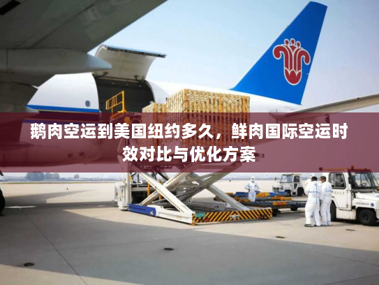 鹅肉空运到美国纽约多久,鲜肉国际空运时效对比与优化方案 鹅肉空运到美国纽约多久,鲜肉国际空运时效对比与优化方案