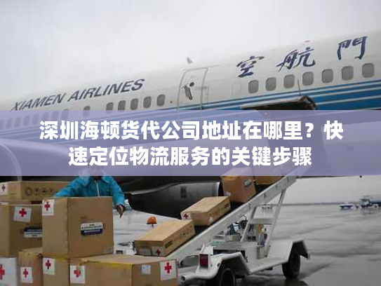 深圳海顿货代公司地址在哪里？快速定位物流服务的关键步骤