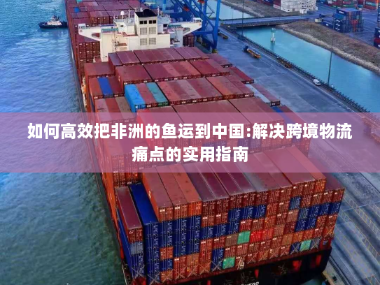 如何高效把非洲的鱼运到中国:解决跨境物流痛点的实用指南 如何高效把非洲的鱼运到中国:解决跨境物流痛点的实用指南