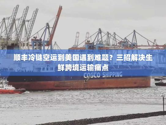 顺丰冷链空运到美国遇到难题？三招解决生鲜跨境运输痛点