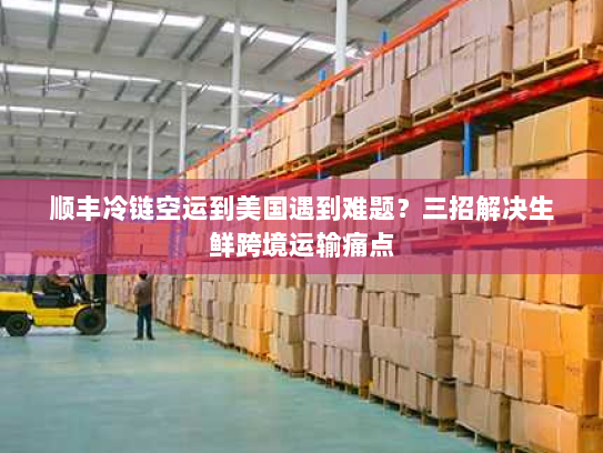 顺丰冷链空运到美国遇到难题？三招解决生鲜跨境运输痛点