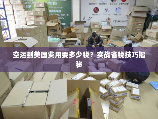 空运到美国费用要多少税?实战省税技巧揭秘 空运到美国费用要多少税?实战省税技巧揭秘