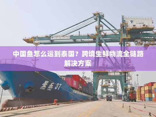中国鱼怎么运到泰国？跨境生鲜物流全链路解决方案