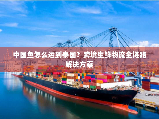 中国鱼怎么运到泰国?跨境生鲜物流全链路解决方案 中国鱼怎么运到泰国?跨境生鲜物流全链路解决方案