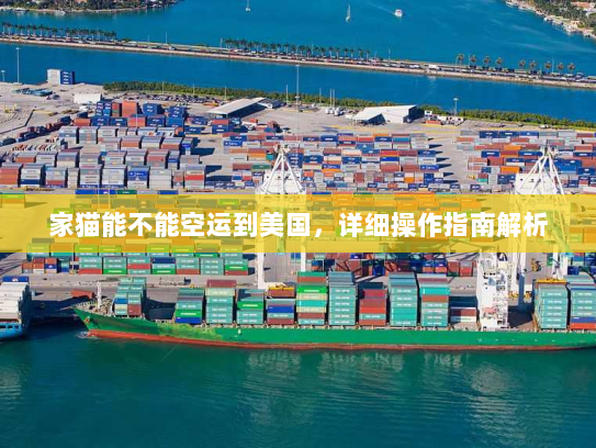 家猫能不能空运到美国,详细操作指南解析 家猫能不能空运到美国,详细操作指南解析