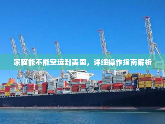 家猫能不能空运到美国,详细操作指南解析 家猫能不能空运到美国,详细操作指南解析