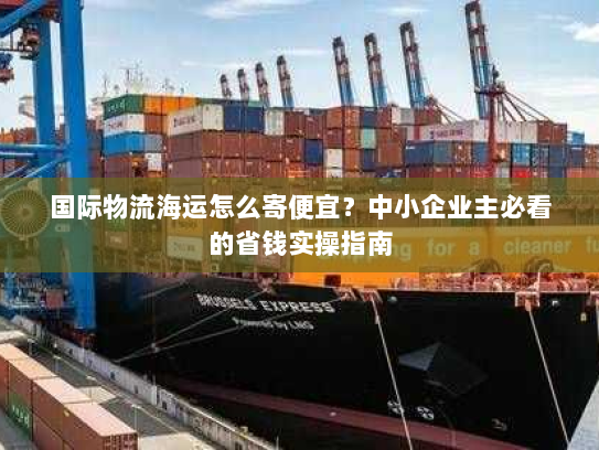 国际物流海运怎么寄便宜？中小企业主必看的省钱实操指南