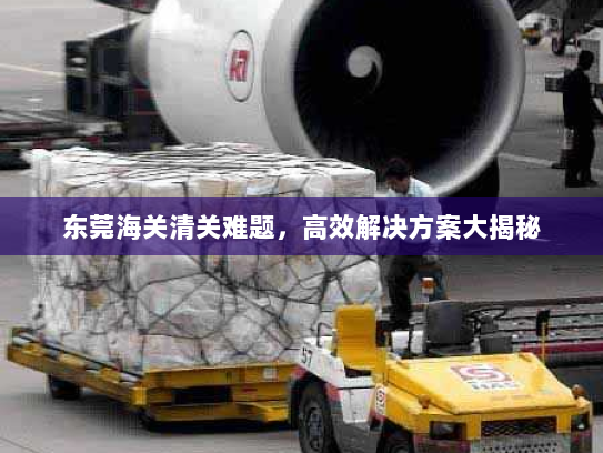 东莞海关清关难题,高效解决方案大揭秘 东莞海关清关难题,高效解决方案大揭秘
