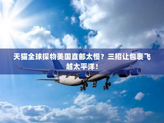 天猫全球探物美国直邮太慢？三招让包裹飞越太平洋！