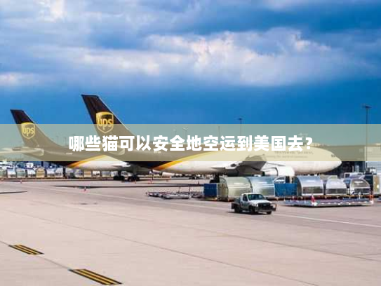 哪些猫可以安全地空运到美国去？