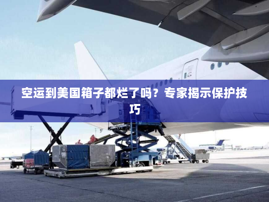 空运到美国箱子都烂了吗?专家揭示保护技巧 空运到美国箱子都烂了吗?专家揭示保护技巧