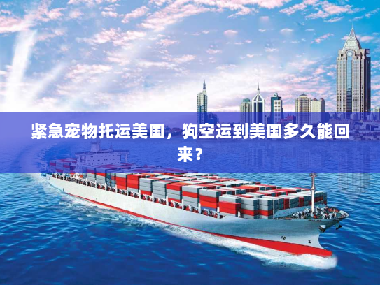 紧急宠物托运美国，狗空运到美国多久能回来？