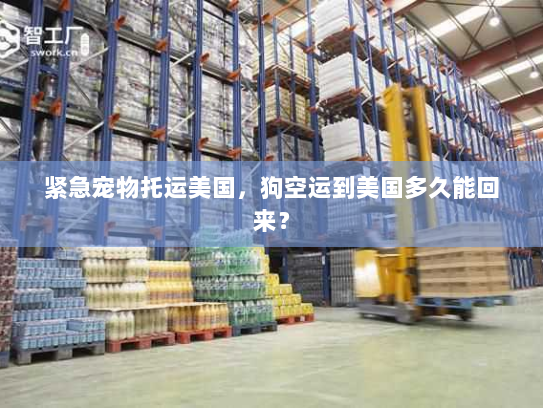 紧急宠物托运美国，狗空运到美国多久能回来？