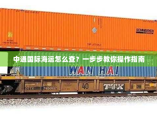 中通国际海运怎么查?一步步教你操作指南 中通国际海运怎么查?一步步教你操作指南