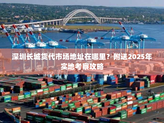 深圳长城货代市场地址在哪里?附送2025年实地考察攻略 深圳长城货代市场地址在哪里?附送2025年实地考察攻略