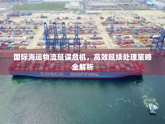 国际海运物流延误危机，高效延续处理策略全解析
