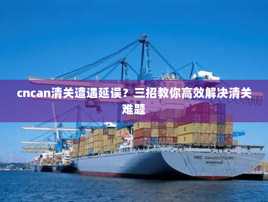 cncan清关遭遇延误？三招教你高效解决清关难题