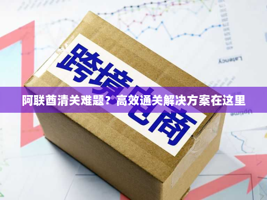 阿联酋清关难题?高效通关解决方案在这里 阿联酋清关难题?高效通关解决方案在这里