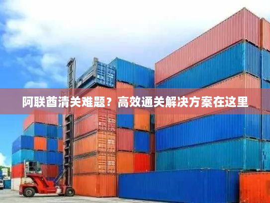 阿联酋清关难题?高效通关解决方案在这里 阿联酋清关难题?高效通关解决方案在这里