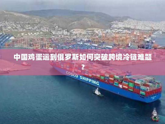 中国鸡蛋运到俄罗斯如何突破跨境冷链难题? 中国鸡蛋运到俄罗斯如何突破跨境冷链难题?