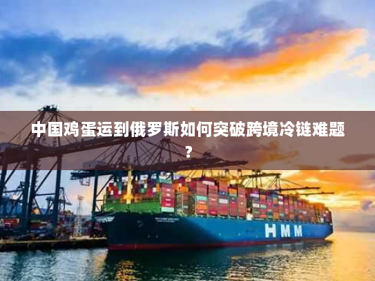 中国鸡蛋运到俄罗斯如何突破跨境冷链难题? 中国鸡蛋运到俄罗斯如何突破跨境冷链难题?