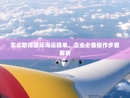 怎么取得国际海运提单,企业必备操作步骤解析 怎么取得国际海运提单,企业必备操作步骤解析