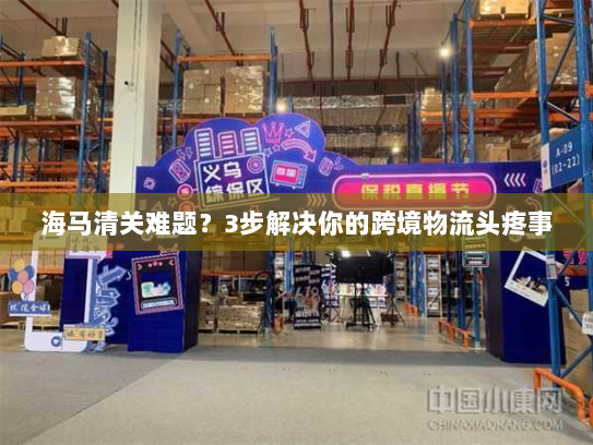 海马清关难题？3步解决你的跨境物流头疼事