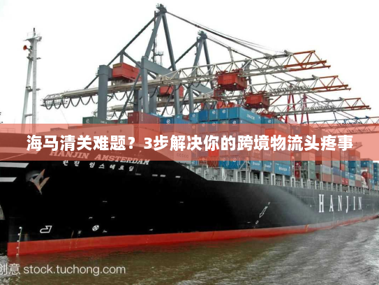 海马清关难题?3步解决你的跨境物流头疼事 海马清关难题?3步解决你的跨境物流头疼事