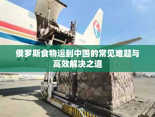 俄罗斯食物运到中国的常见难题与高效解决之道
