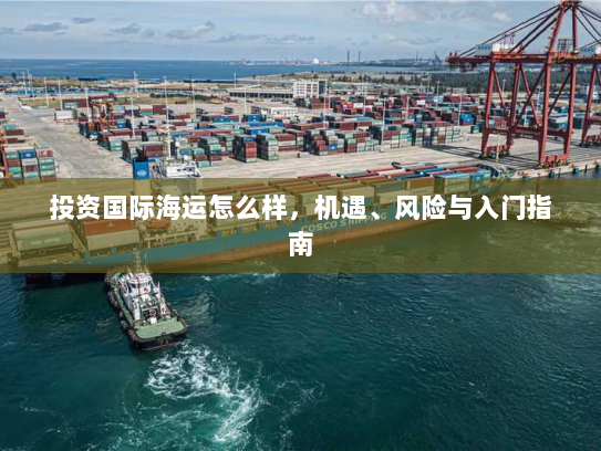 投资国际海运怎么样,机遇、风险与入门指南 投资国际海运怎么样,机遇、风险与入门指南