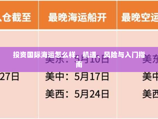 投资国际海运怎么样,机遇、风险与入门指南 投资国际海运怎么样,机遇、风险与入门指南