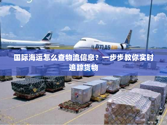 国际海运怎么查物流信息？一步步教你实时追踪货物
