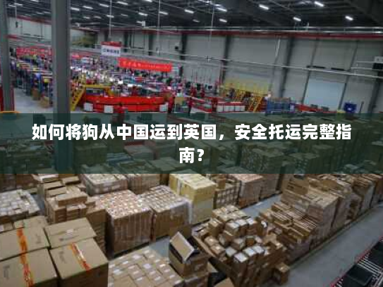 如何将狗从中国运到英国,安全托运完整指南? 如何将狗从中国运到英国,安全托运完整指南?