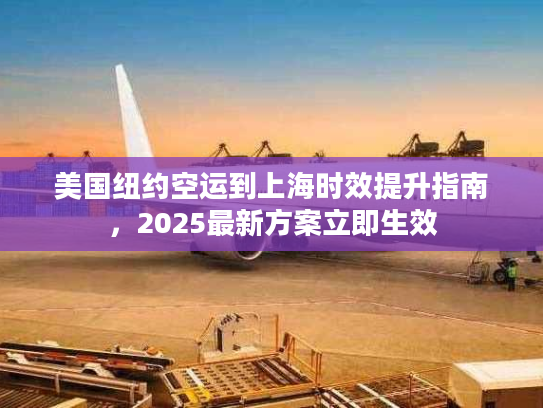 美国纽约空运到上海时效提升指南，2025最新方案立即生效