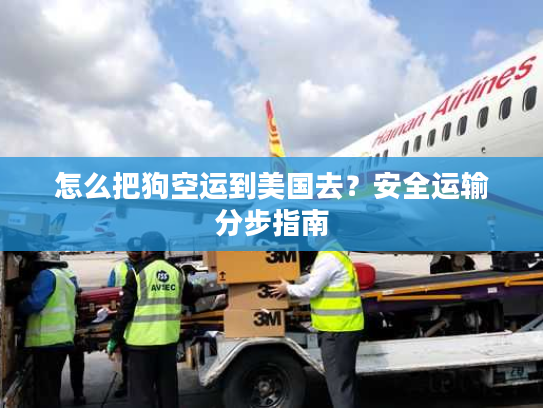 怎么把狗空运到美国去?安全运输分步指南 怎么把狗空运到美国去?安全运输分步指南