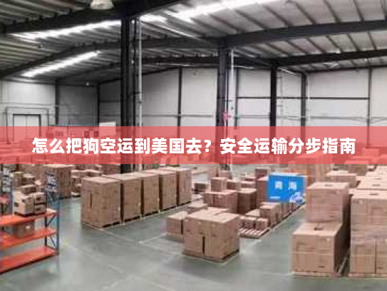 怎么把狗空运到美国去？安全运输分步指南