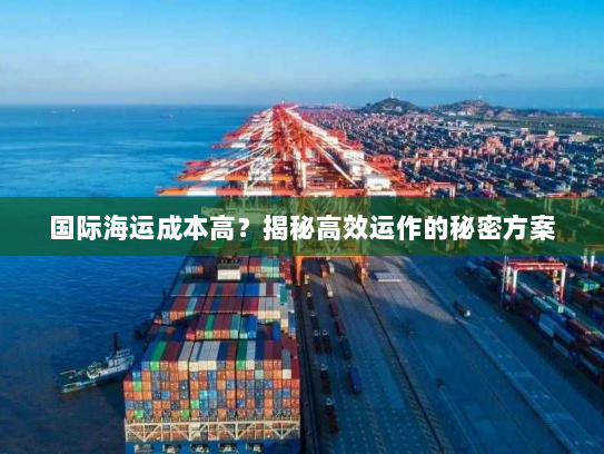 国际海运成本高?揭秘高效运作的秘密方案 国际海运成本高?揭秘高效运作的秘密方案
