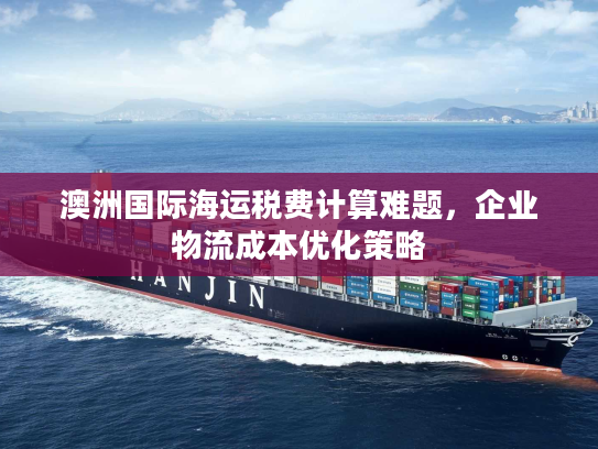 澳洲国际海运税费计算难题，企业物流成本优化策略