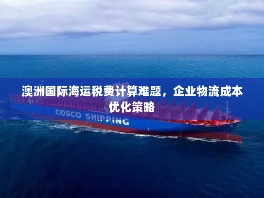 澳洲国际海运税费计算难题，企业物流成本优化策略