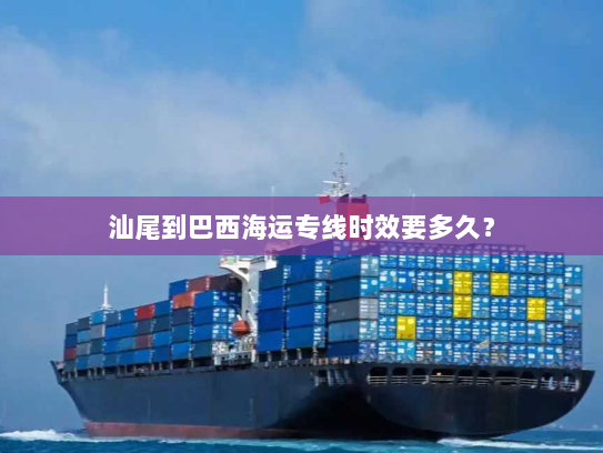 汕尾到巴西海运专线时效要多久? 汕尾到巴西海运专线时效要多久?