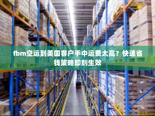 fbm空运到美国客户手中运费太高?快速省钱策略即刻生效 fbm空运到美国客户手中运费太高?快速省钱策略即刻生效