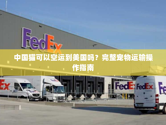 中国猫可以空运到美国吗？完整宠物运输操作指南