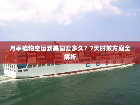 月季植物空运到美国要多久?7天时效方案全解析 月季植物空运到美国要多久?7天时效方案全解析